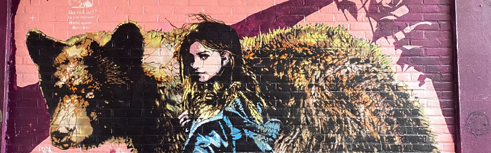 Nijmegen stadswandeling street art gelretours