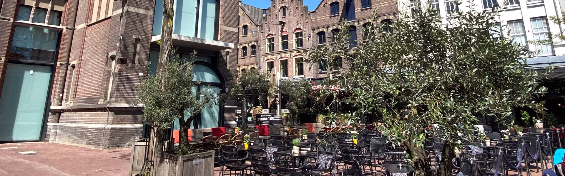 Terms and conditions